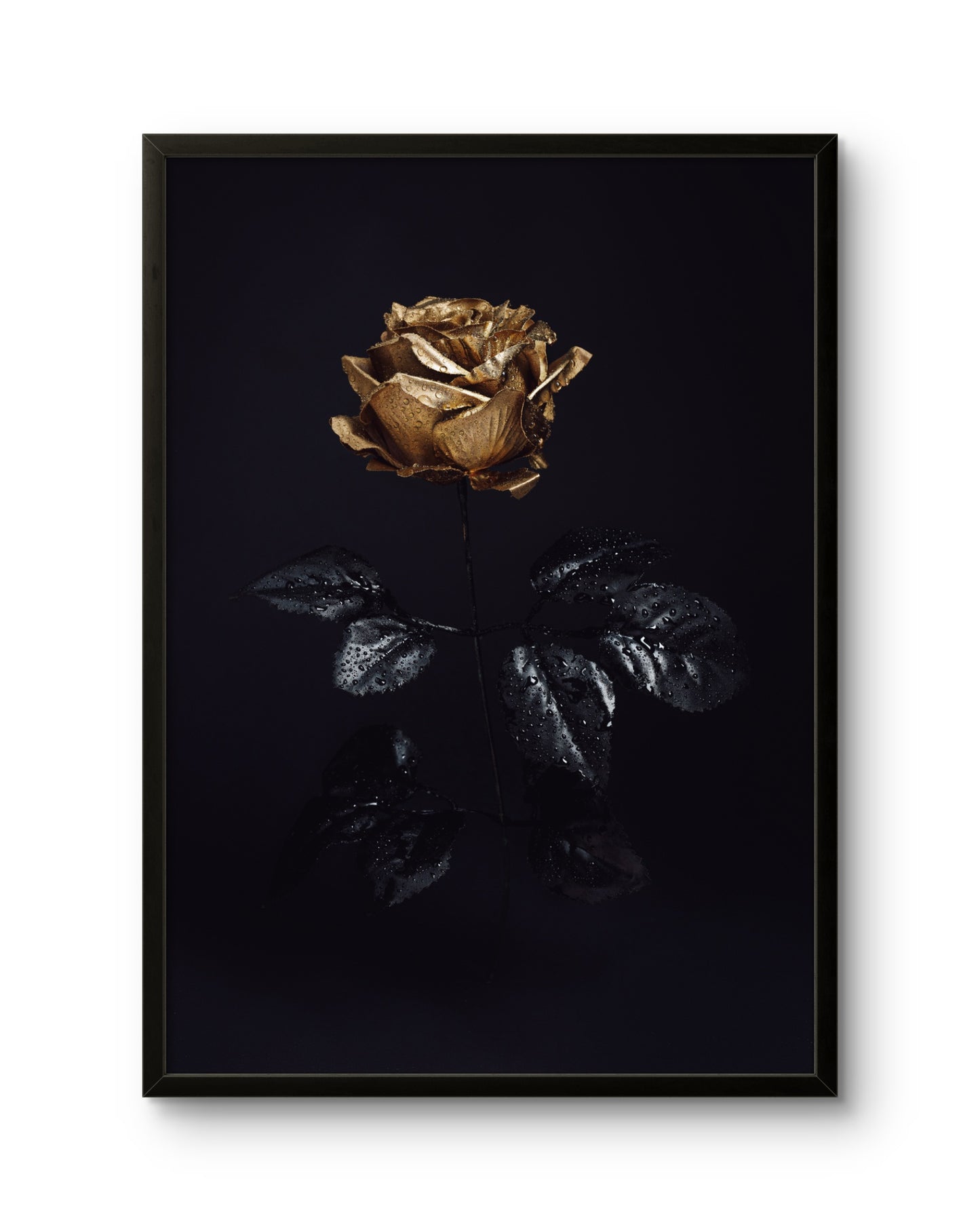 Golden Rose