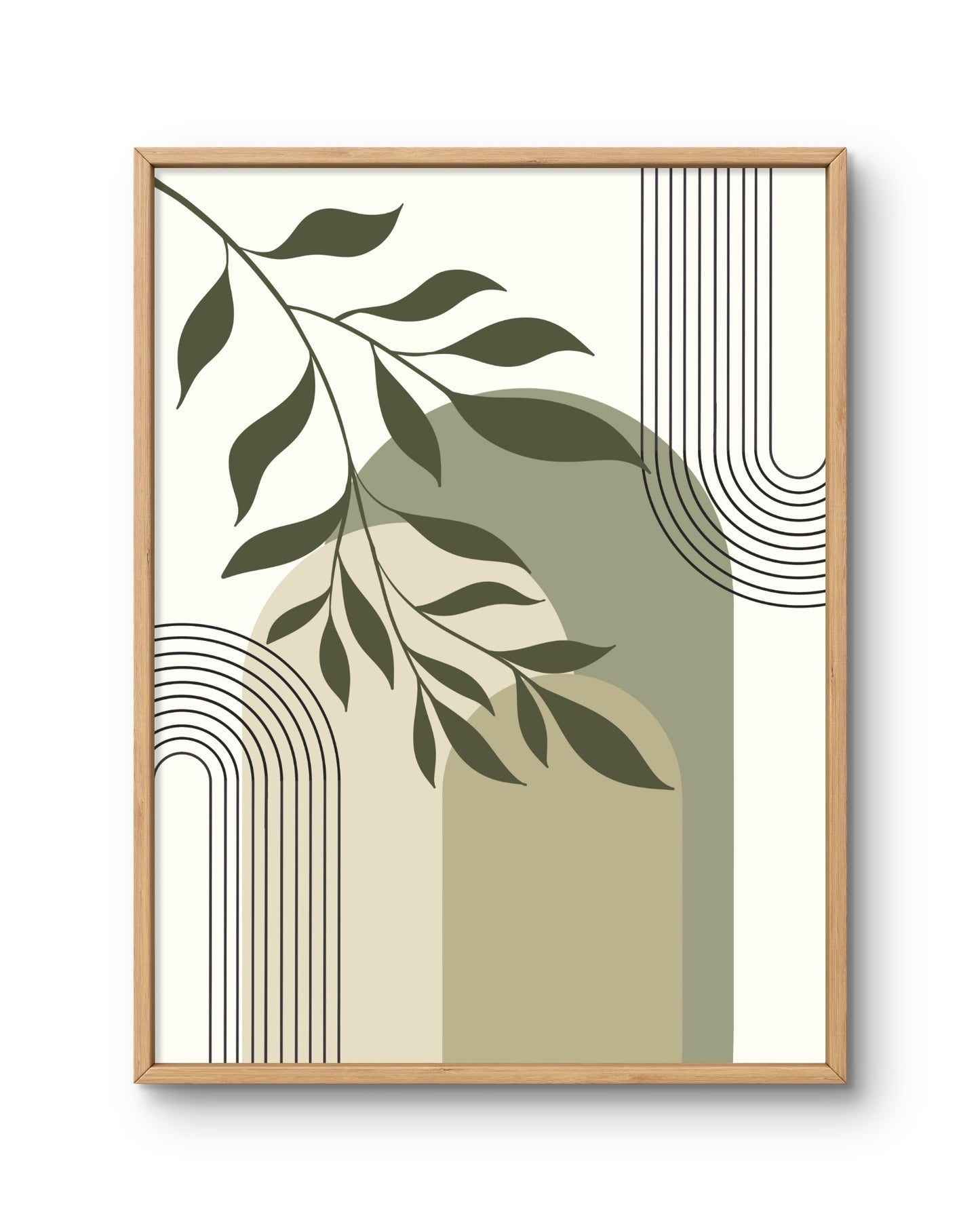 Olive Arch Abstract Botanical