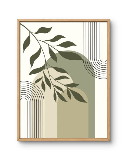 Olive Arch Abstract Botanical