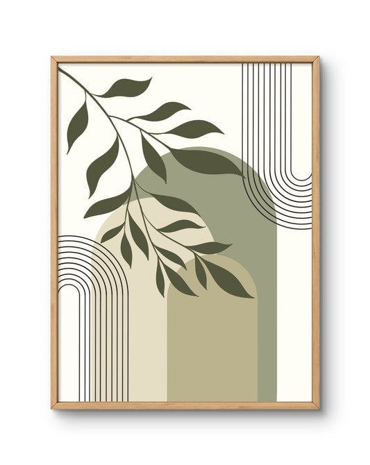 Olive Arch Abstract Botanical