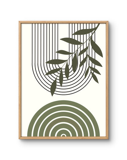 Linear Canopy Botanical Lines