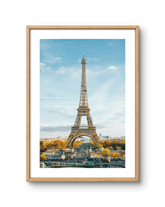 Paris View