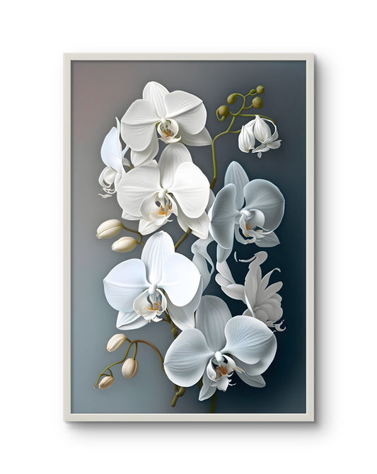 White Orchid Serenity