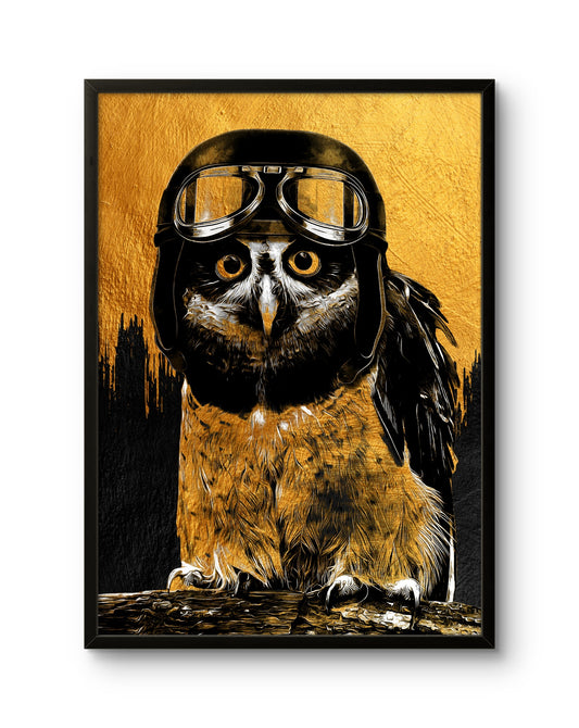 Golden Owl Aviator