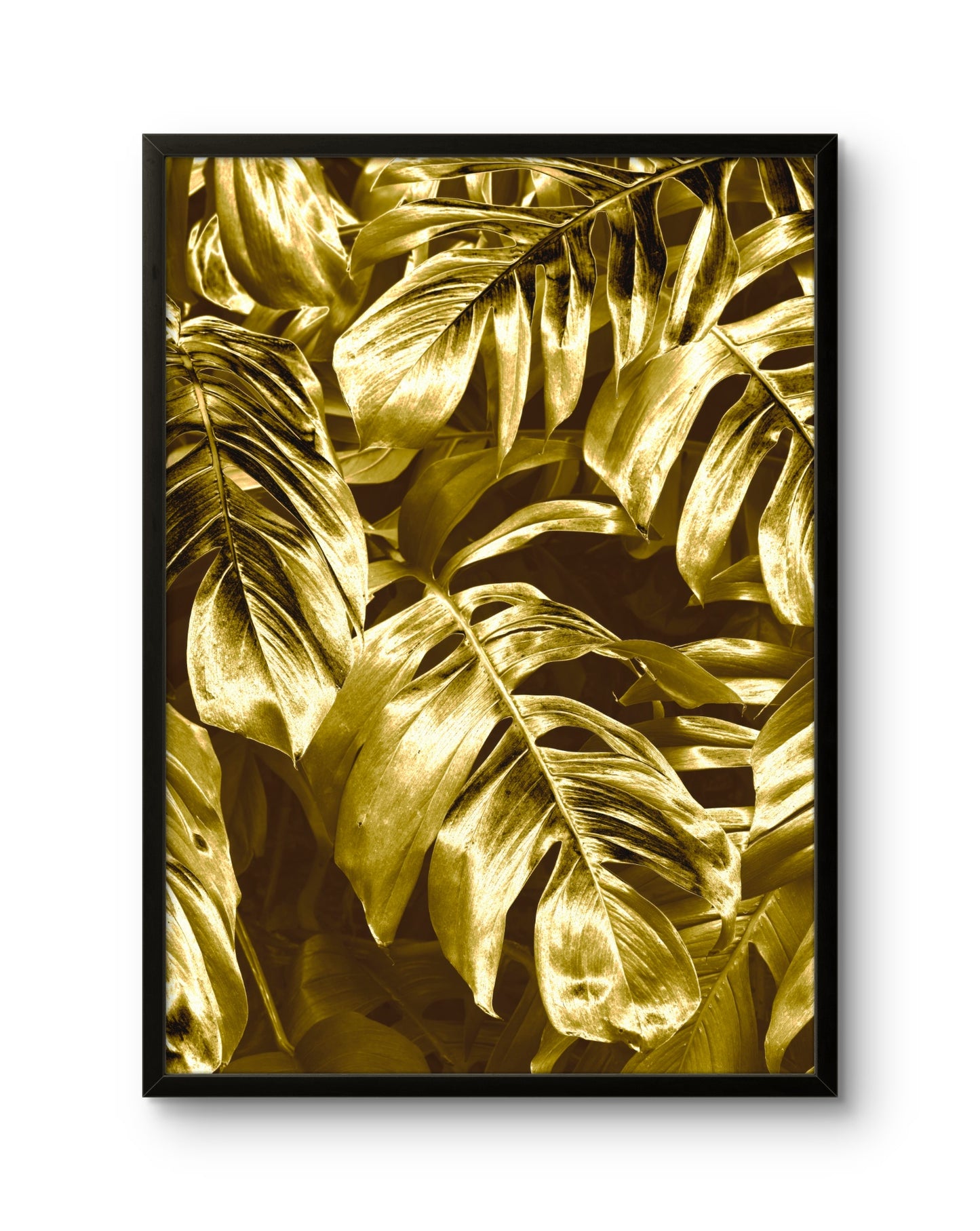 Golden Tropical Jungle