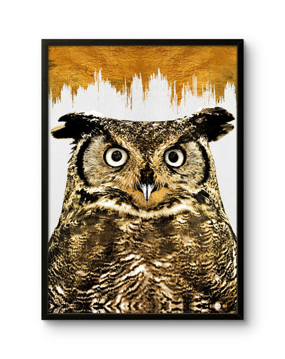 Golden Owl Portrait