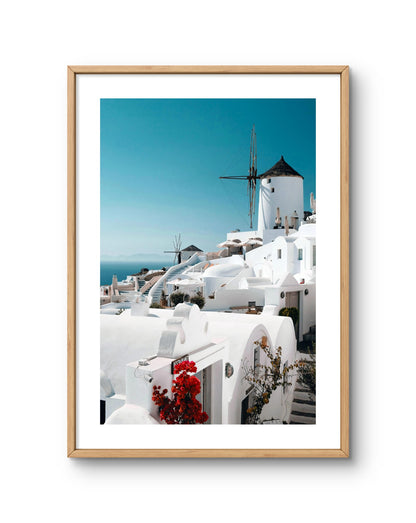 White Horizon