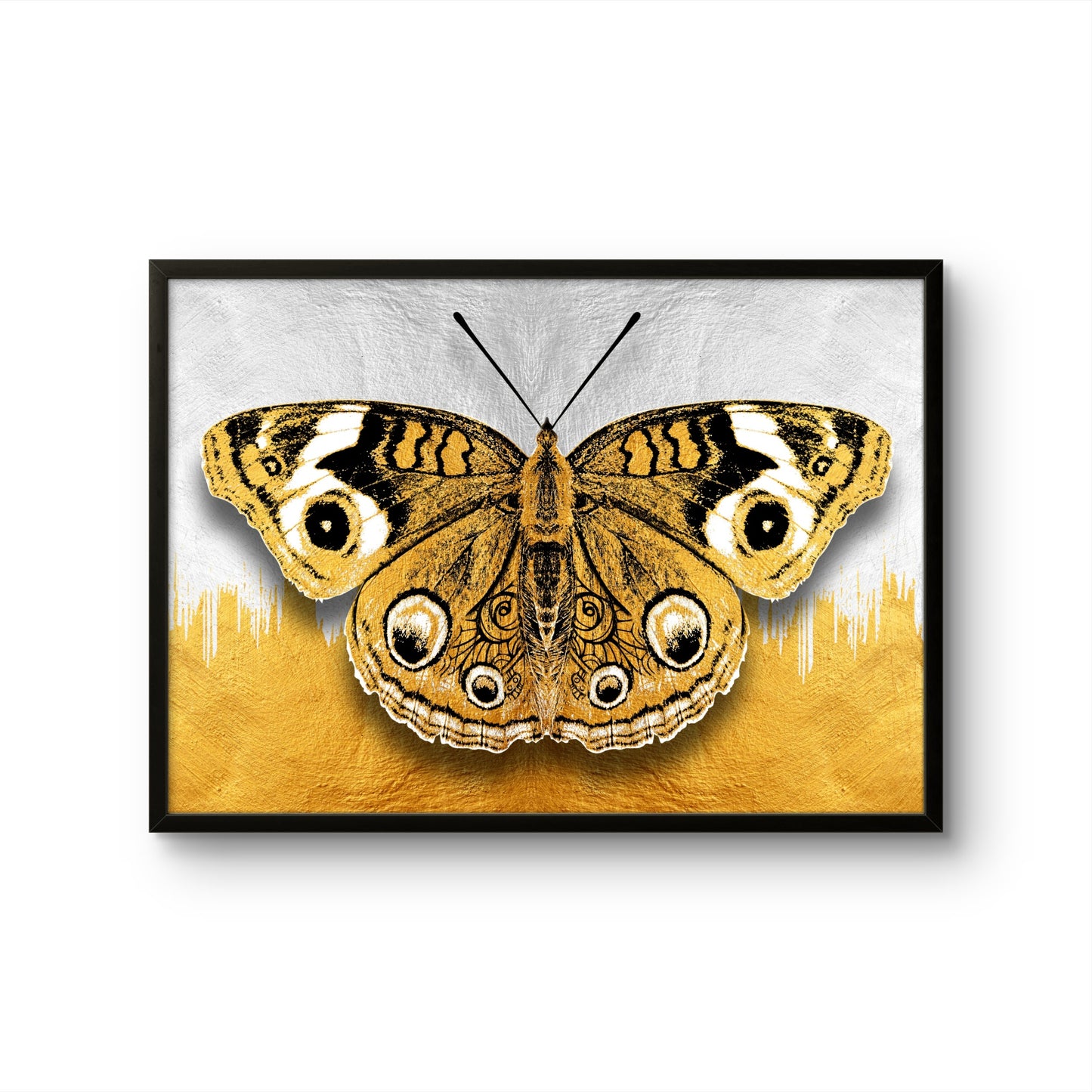 Golden Butterfly on White & Gold