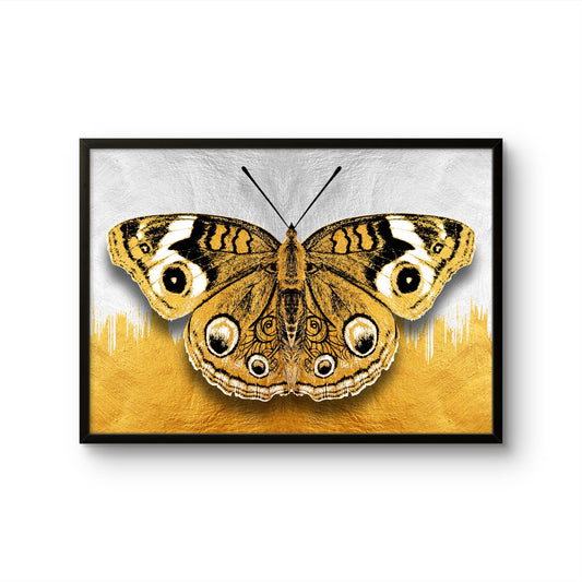 Golden Butterfly on White & Gold