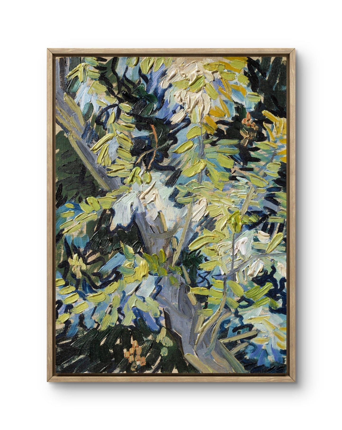 Branches in Bloom