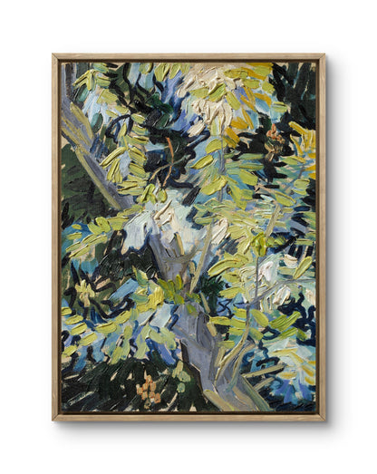 Branches in Bloom