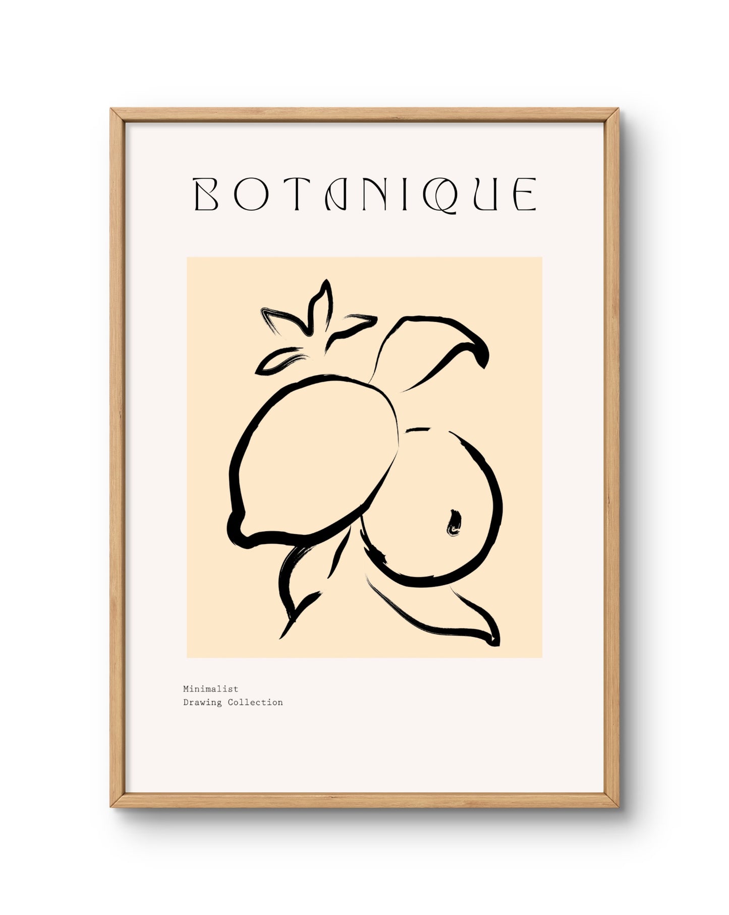 Botanique Minimal Fruit Line Drawing