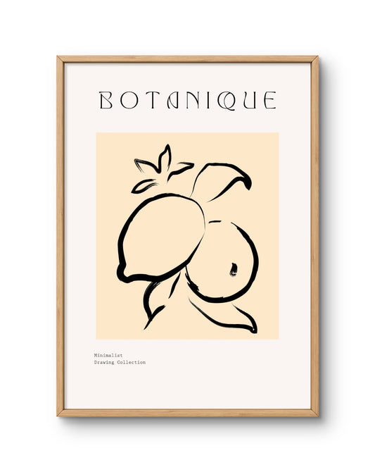 Botanique Minimal Fruit Line Drawing