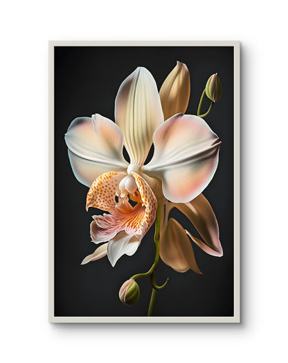 Blush Orchid Grace