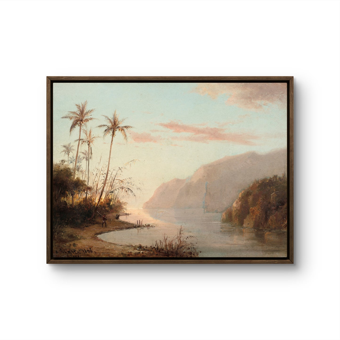 Tropical Coast