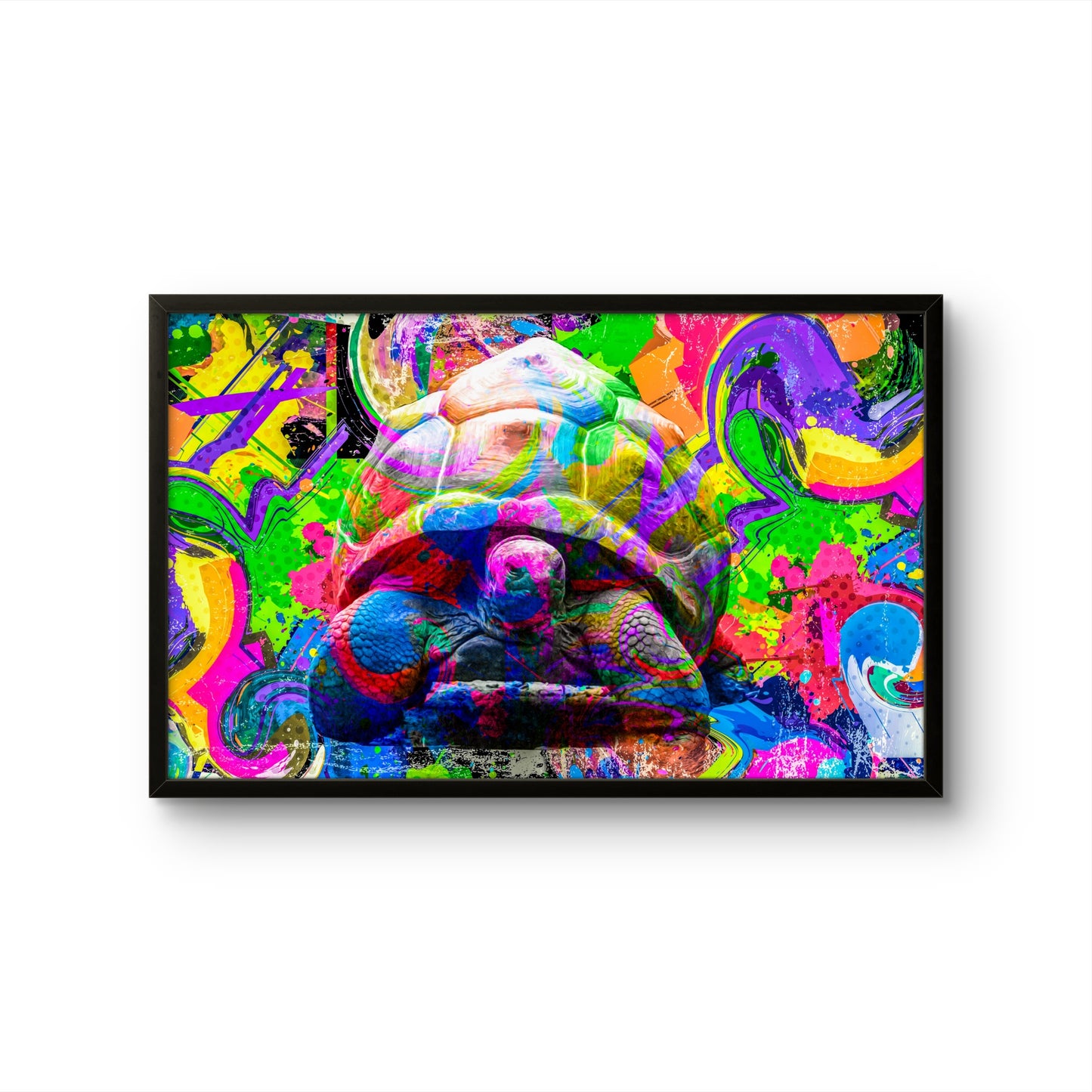 Turtle Splash Pop