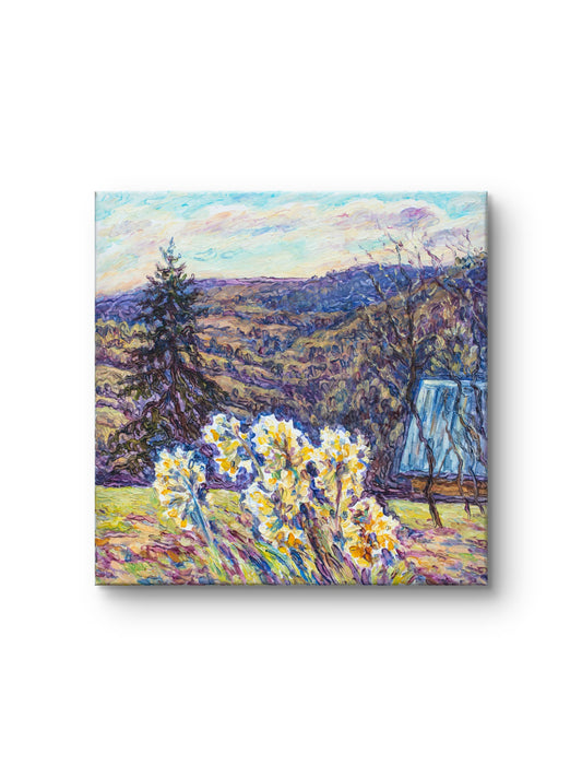 Spring Over the Valley