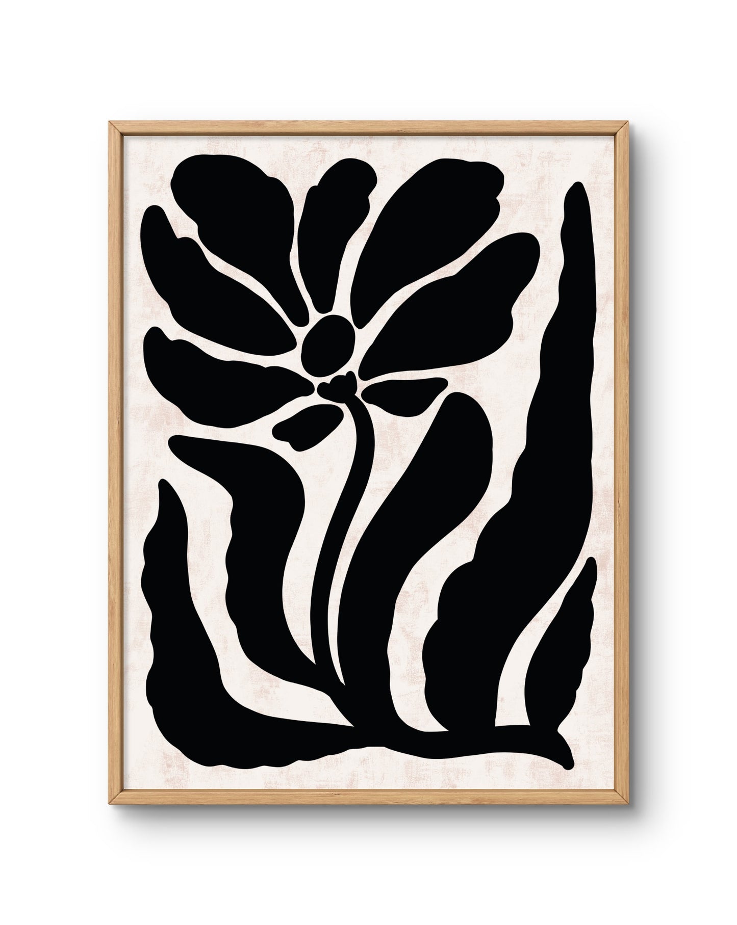 Quiet Botanica