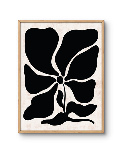 Shadowed Petals