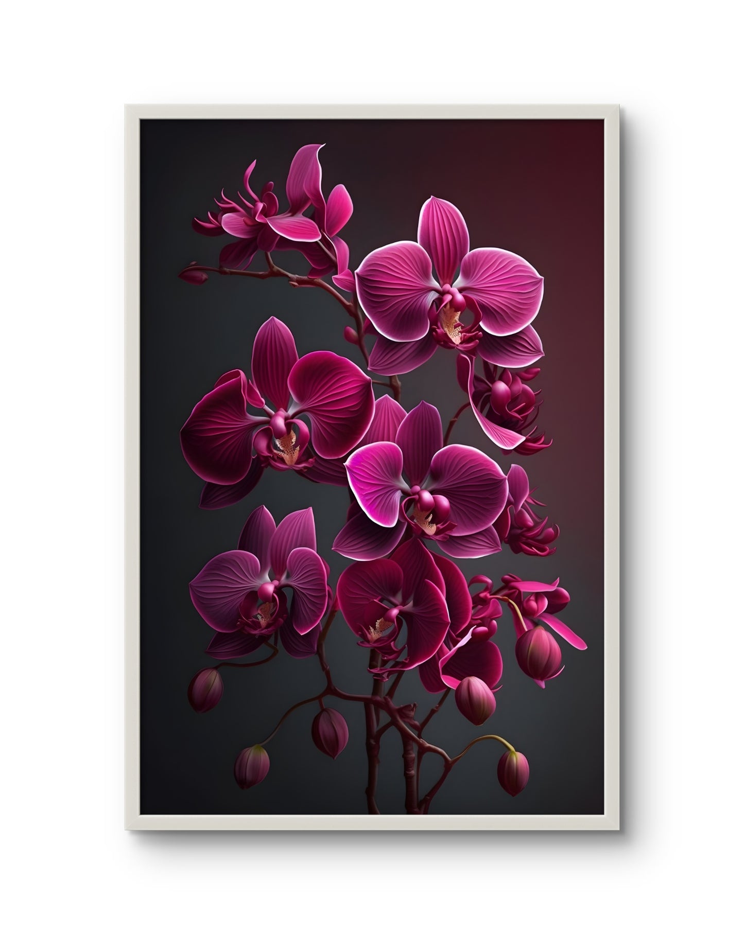 Magenta Orchid Statement