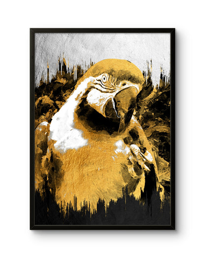 Golden Macaw Spirit