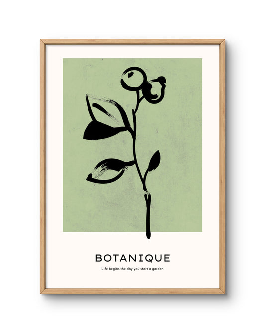 Botanique Minimal Stem