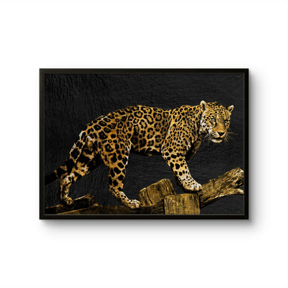 Golden Leopard on Black