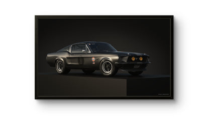 Midnight Muscle