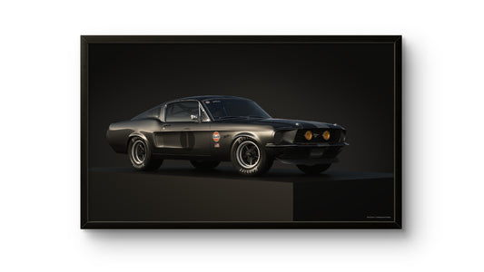 Midnight Muscle
