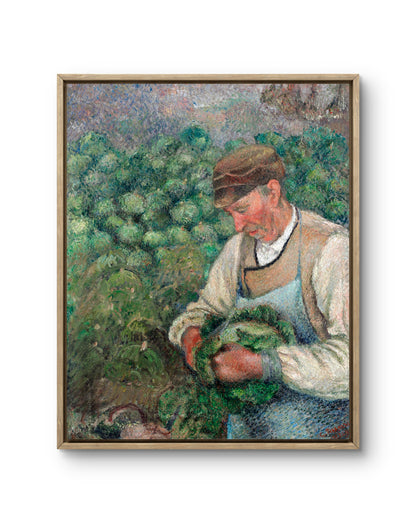 The Gardener — Old Peasant with Cabbage