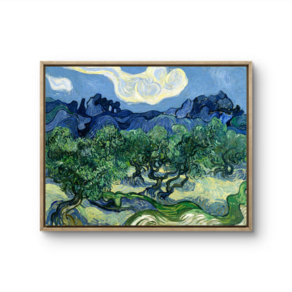 Olive Trees with the Alpilles