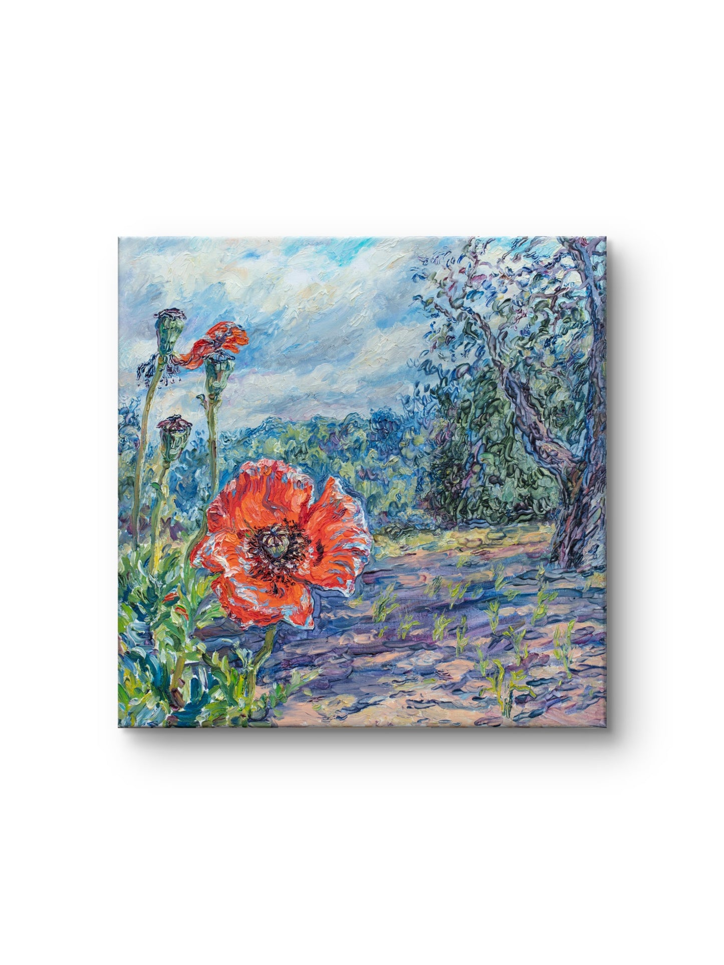 Where Poppies Grow