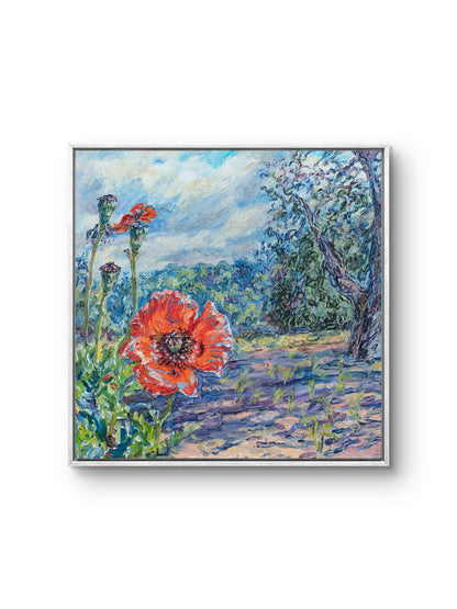 Where Poppies Grow