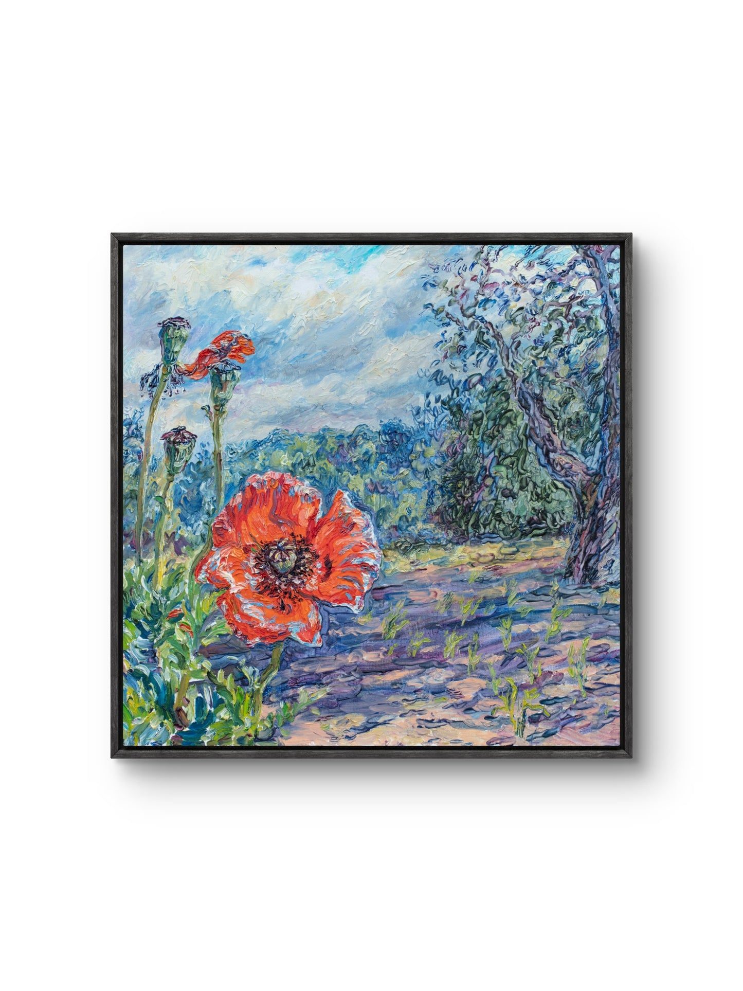 Where Poppies Grow