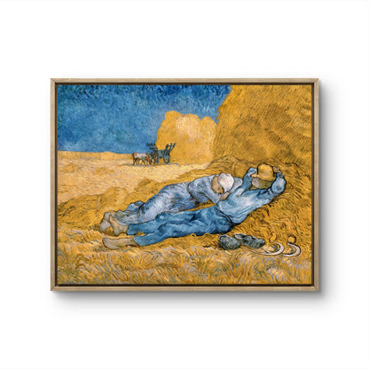 The Siesta