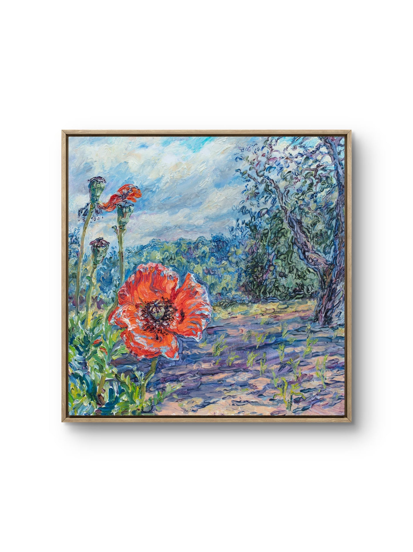 Where Poppies Grow