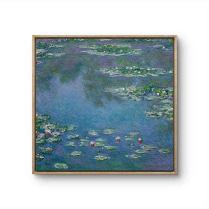 Water Lilies