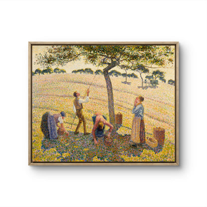Apple Harvest at Éragny