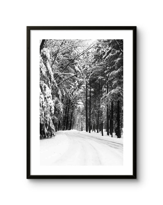 Winter Road