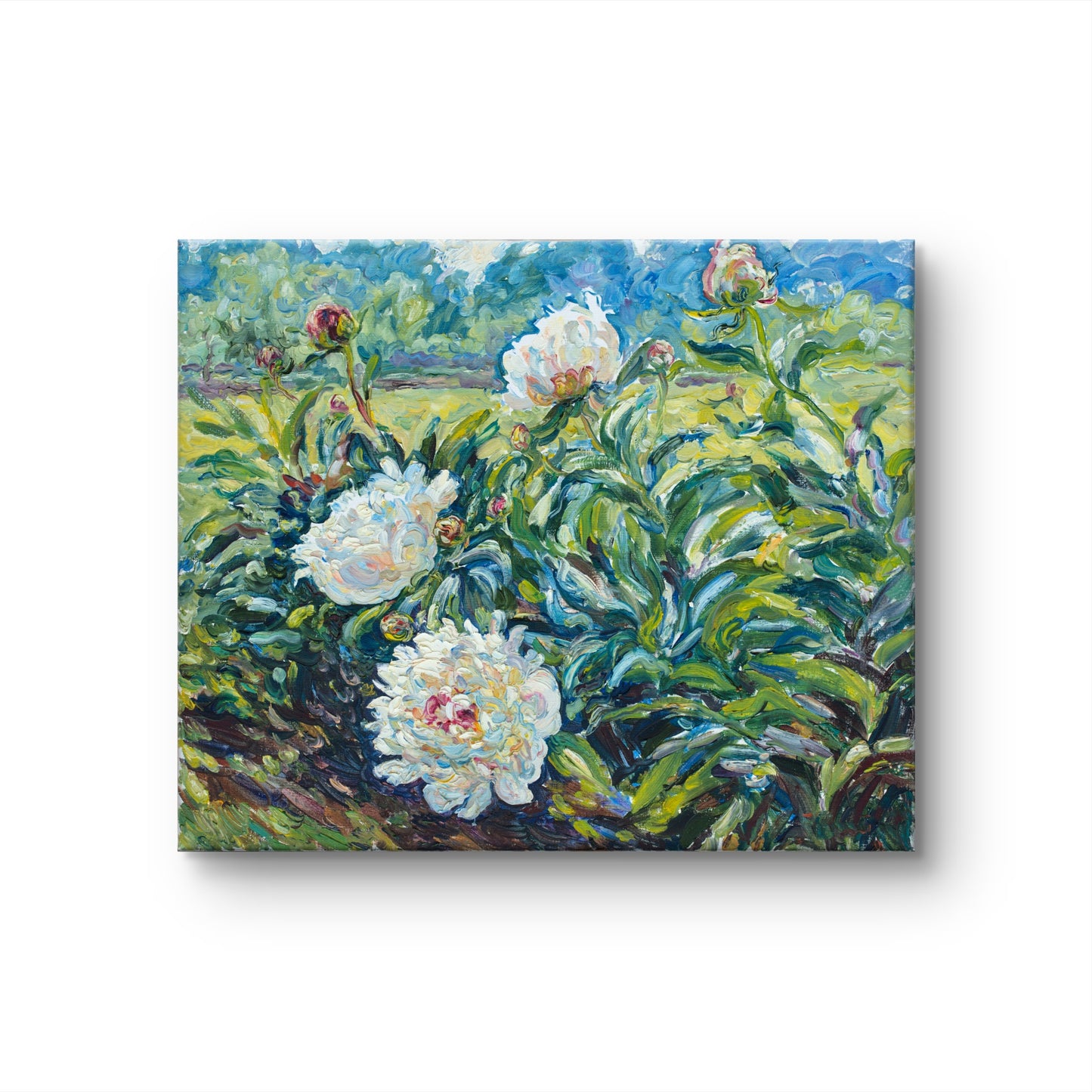 Sunlit Blossoms
