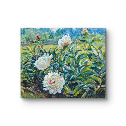 Sunlit Blossoms
