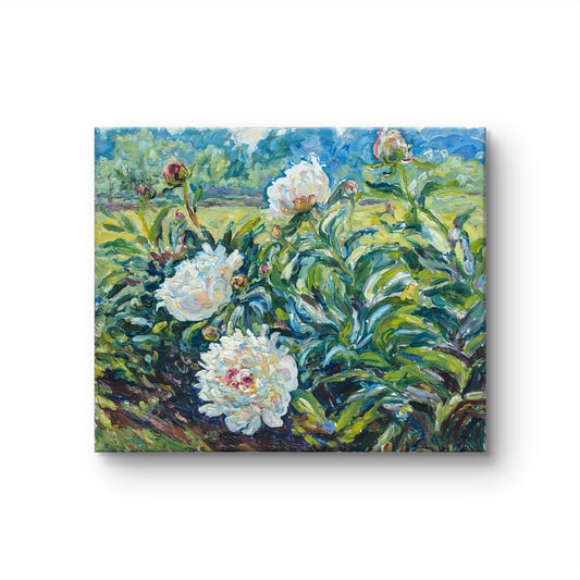 Sunlit Blossoms