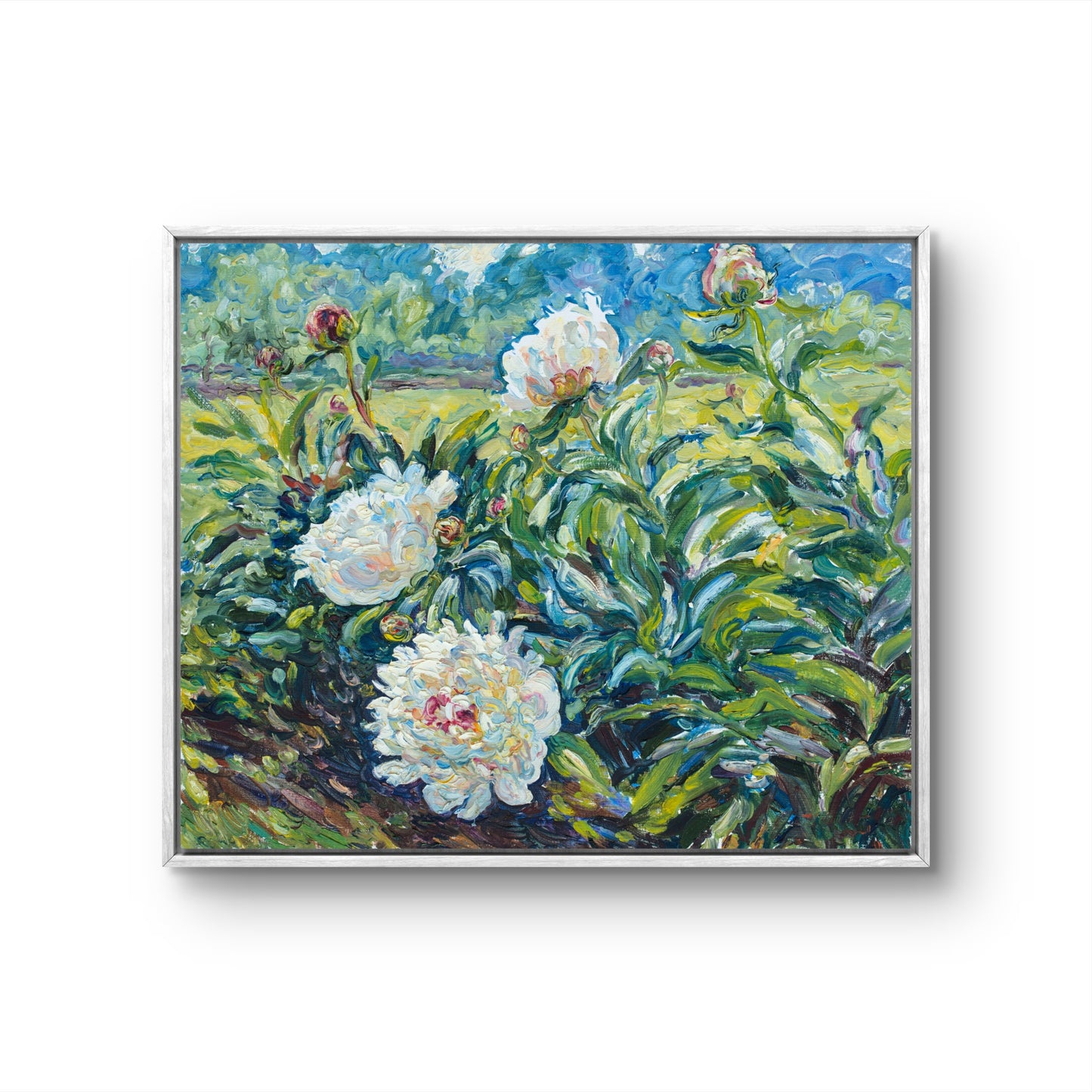 Sunlit Blossoms