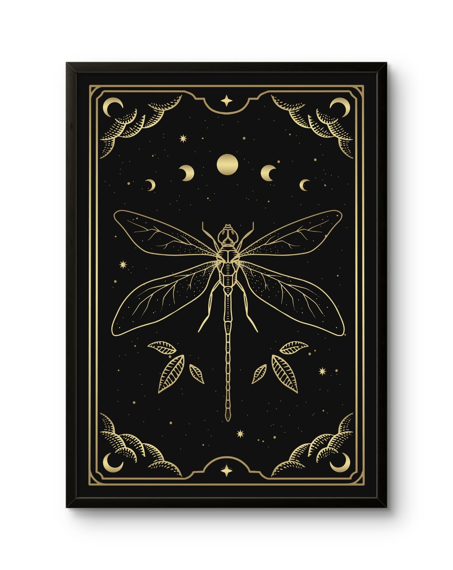 Lunar Dragonfly
